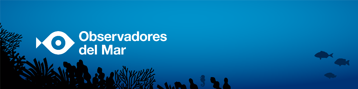 Observadores del mar