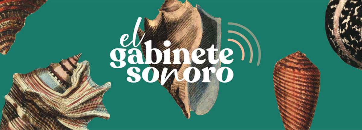 gabinete sonoro
