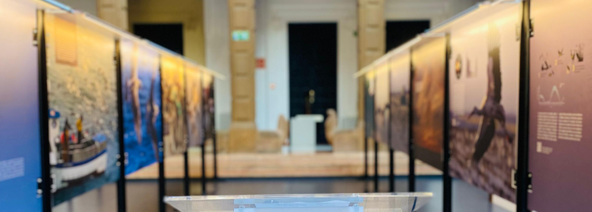 Inauguración Plastisfera Casa de la Ciencia de Sevilla